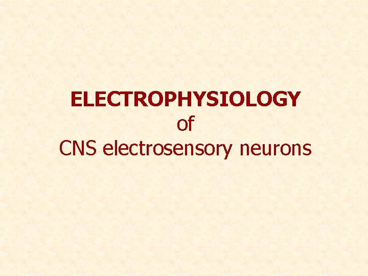 ELECTROPHYSIOLOGY of CNS electrosensory neurons 