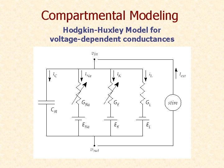 Compartmental Modeling Hodgkin-Huxley Model for voltage-dependent conductances 