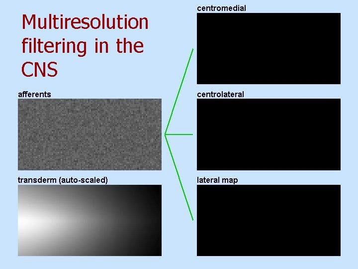 Multiresolution filtering in the CNS 