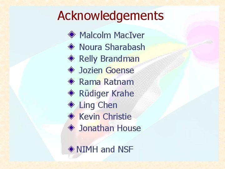 Acknowledgements Malcolm Mac. Iver Noura Sharabash Relly Brandman Jozien Goense Rama Ratnam Rüdiger Krahe