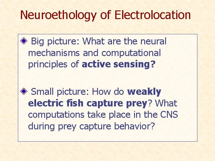 Neuroethology of Electrolocation Big picture: What are the neural mechanisms and computational principles of