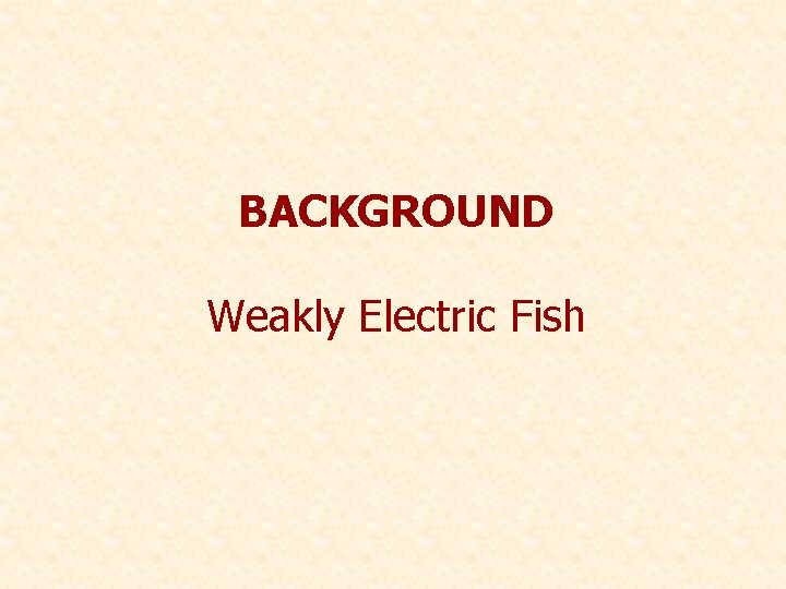 BACKGROUND Weakly Electric Fish 