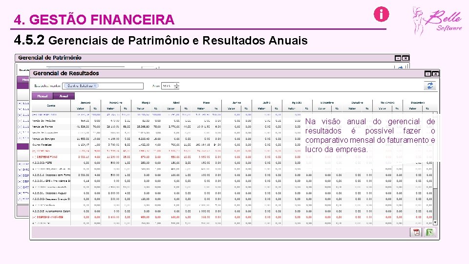 4. GESTÃO FINANCEIRA 4. 5. 2 Gerenciais de Patrimônio e Resultados Anuais Na visão