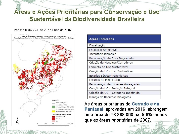 Áreas e Ações Prioritárias para Conservação e Uso Sustentável da Biodiversidade Brasileira Portaria MMA
