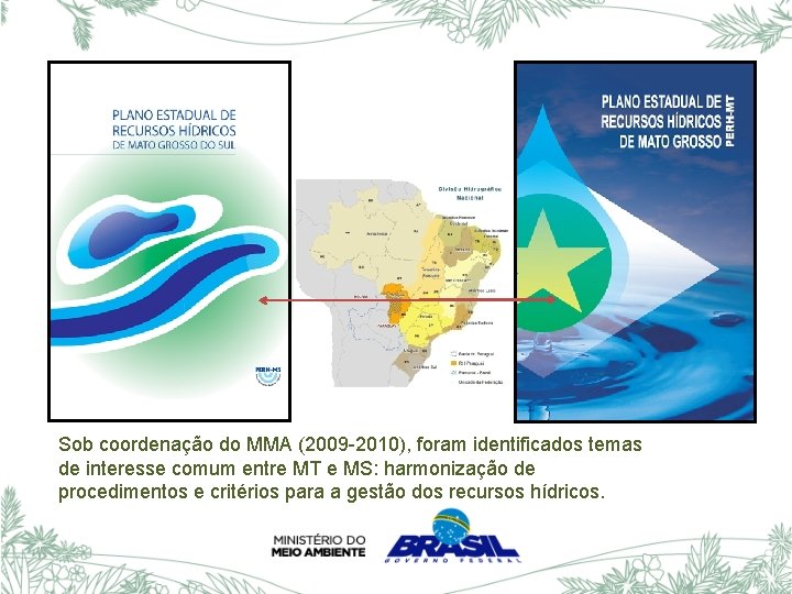 Sob coordenação do MMA (2009 -2010), foram identificados temas de interesse comum entre MT