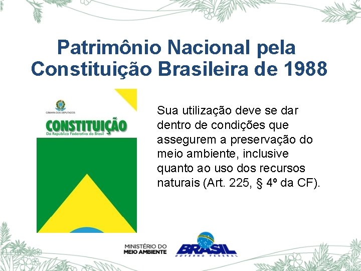 Patrimônio Nacional pela Constituição Brasileira de 1988 Sua utilização deve se dar dentro de