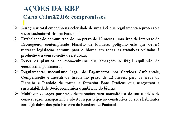 AÇÕES DA RBP Carta Caimã/2016: compromissos Assegurar total empenho na celeridade de uma Lei