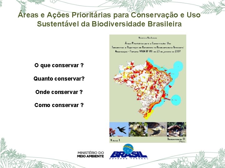 Áreas e Ações Prioritárias para Conservação e Uso Sustentável da Biodiversidade Brasileira O que