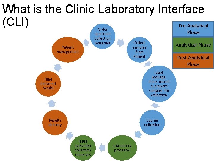 What is the Clinic-Laboratory Interface (CLI) Pre-Analytical Patient management Order specimen collection materials Phase
