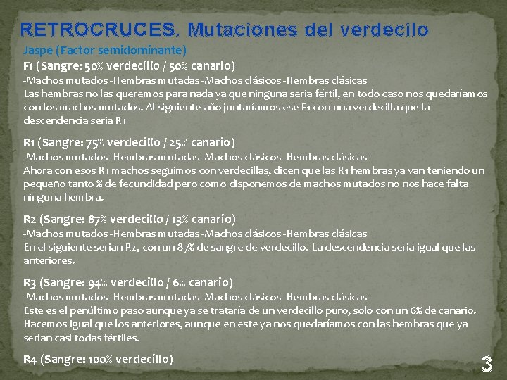  RETROCRUCES. Mutaciones del verdecilo Jaspe (Factor semidominante) F 1 (Sangre: 50% verdecillo /