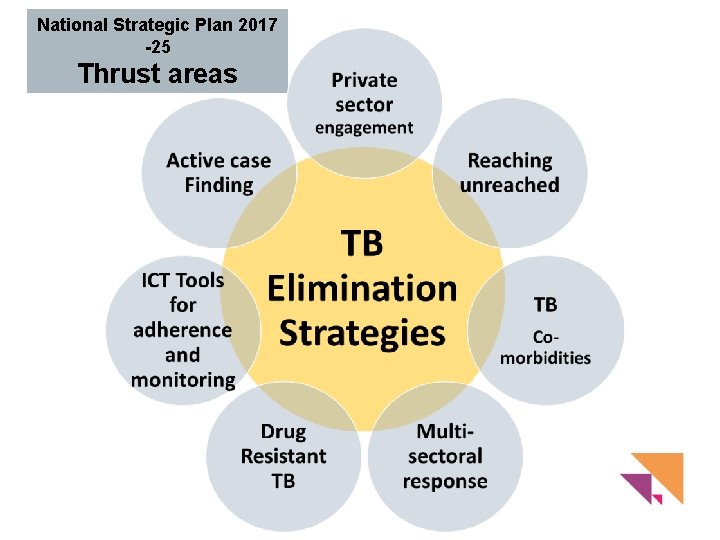 National Strategic Plan 2017 -25 Thrust areas 