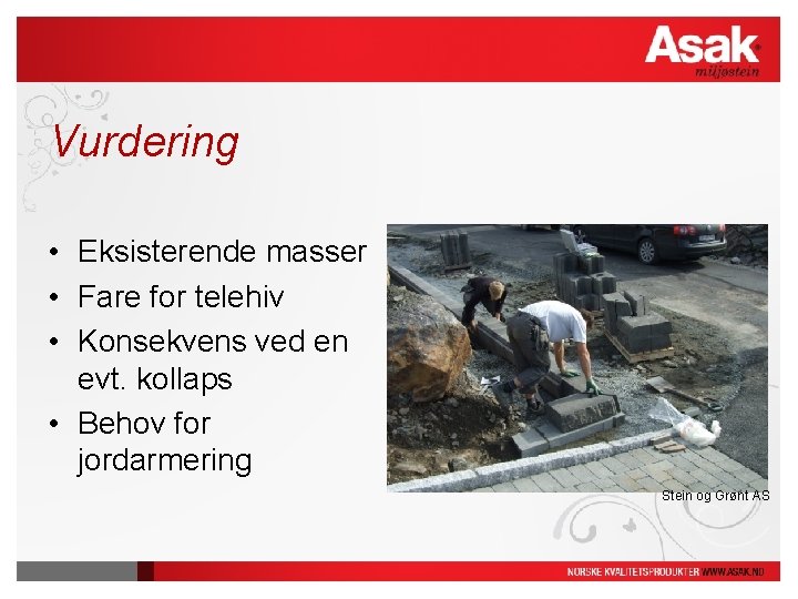 Vurdering • Eksisterende masser • Fare for telehiv • Konsekvens ved en evt. kollaps Vurdering • Eksisterende masser • Fare for telehiv • Konsekvens ved en evt. kollaps