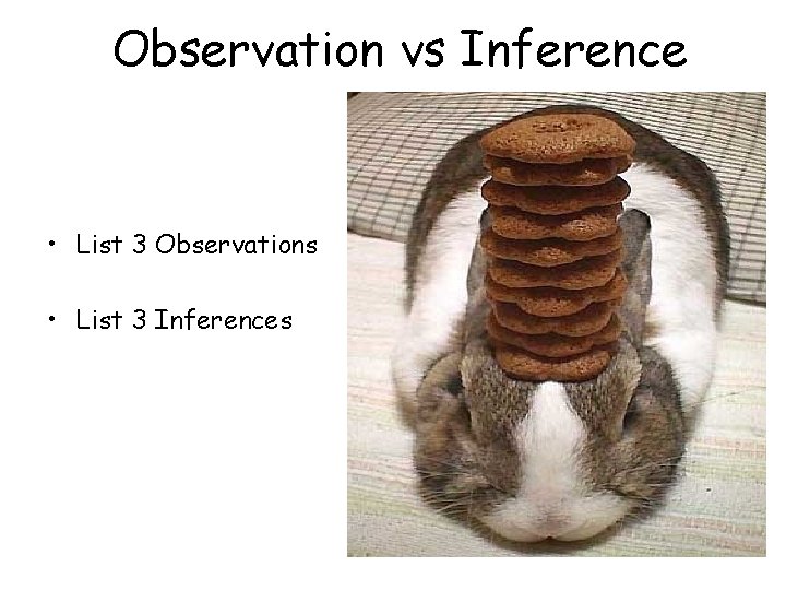 Observation vs Inference • List 3 Observations • List 3 Inferences 