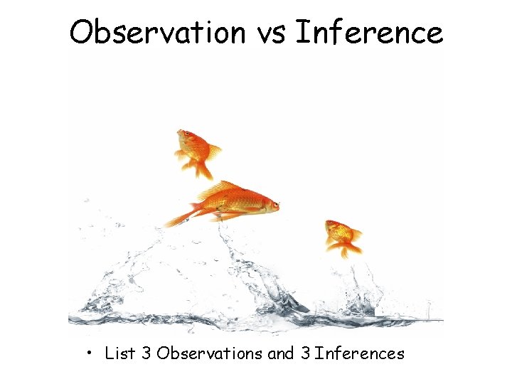 Observation vs Inference • List 3 Observations and 3 Inferences 