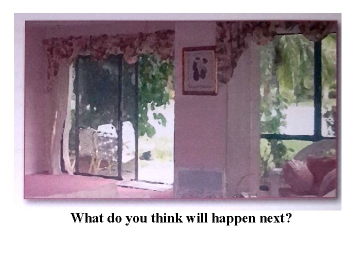 What do you think will happen next? 