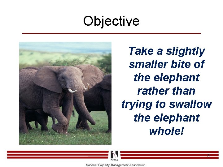 Objective Take a slightly smaller bite of the elephant rather than trying to swallow