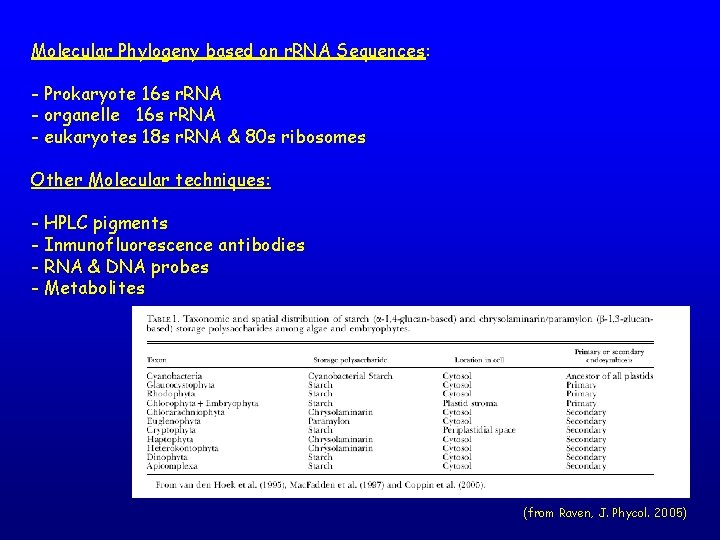 Molecular Phylogeny based on r. RNA Sequences: - Prokaryote 16 s r. RNA -