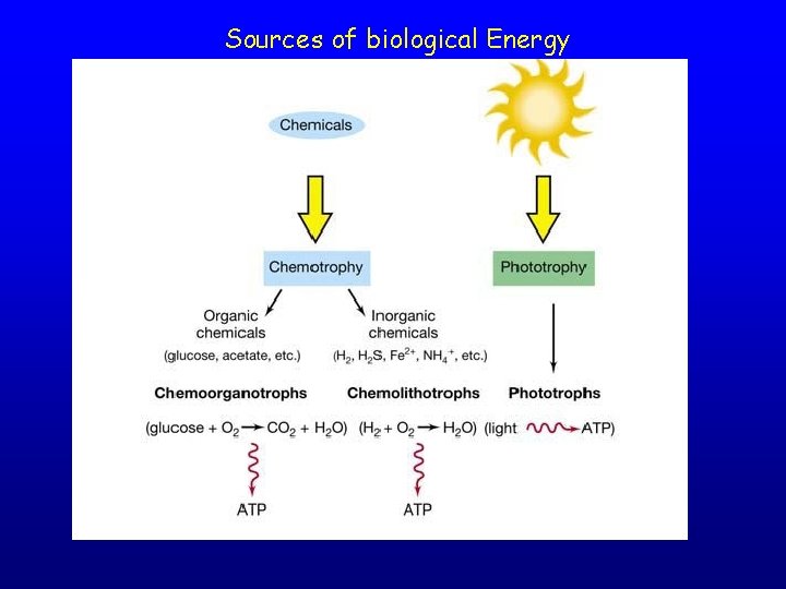 Sources of biological Energy 