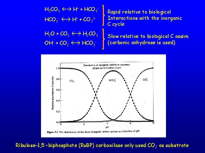 H 2 CO 3 H+ + HCO 3 - H+ + CO 32 H
