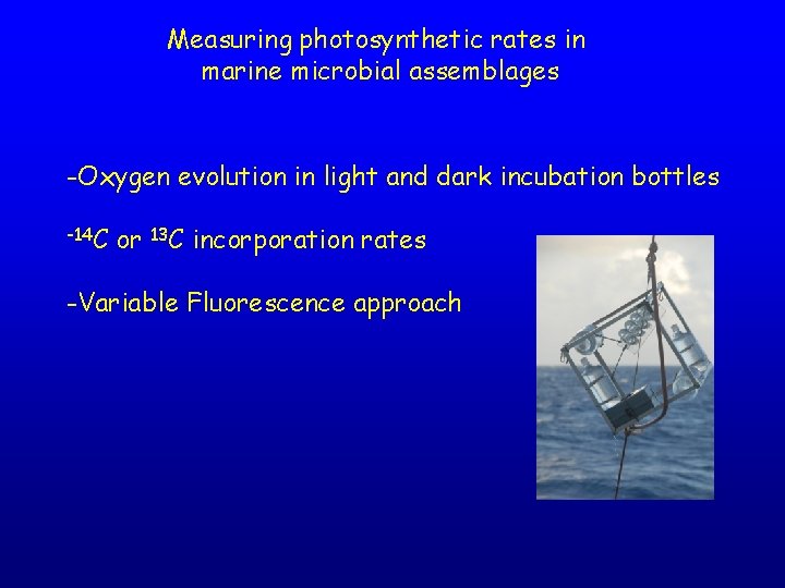 Measuring photosynthetic rates in marine microbial assemblages -Oxygen evolution in light and dark incubation