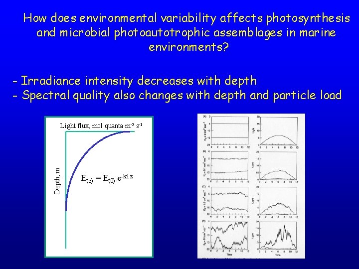 How does environmental variability affects photosynthesis and microbial photoautotrophic assemblages in marine environments? -