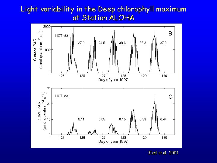 Light variability in the Deep chlorophyll maximum at Station ALOHA Karl et al. 2001