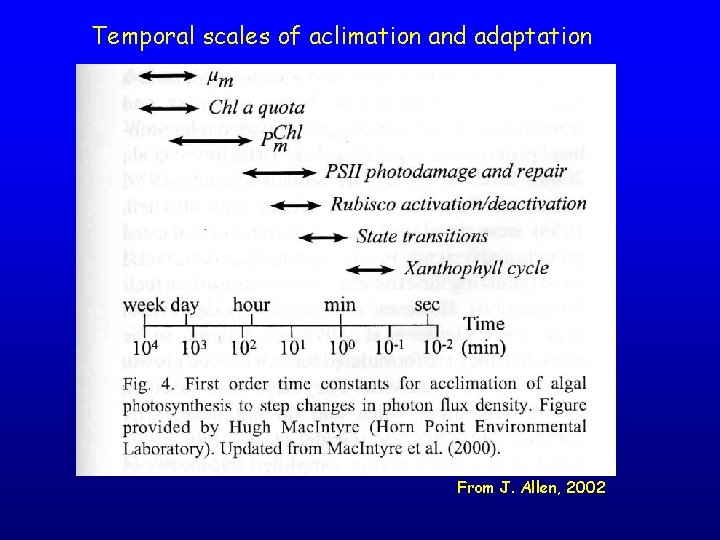 Temporal scales of aclimation and adaptation From J. Allen, 2002 