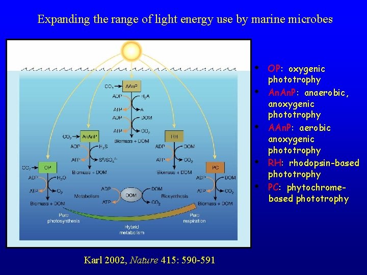 Expanding the range of light energy use by marine microbes • • • Karl