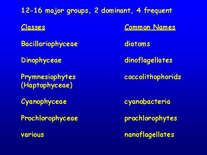 12 -16 major groups, 2 dominant, 4 frequent Classes Common Names Bacillariophyceae diatoms Dinophyceae