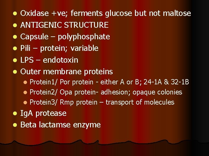 l l l Oxidase +ve; ferments glucose but not maltose ANTIGENIC STRUCTURE Capsule – l l l Oxidase +ve; ferments glucose but not maltose ANTIGENIC STRUCTURE Capsule –
