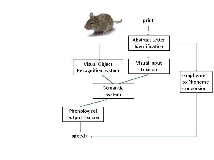 pictures, seen objects print Abstract Letter Identification Visual Object Recognition System Semantic System Phonological