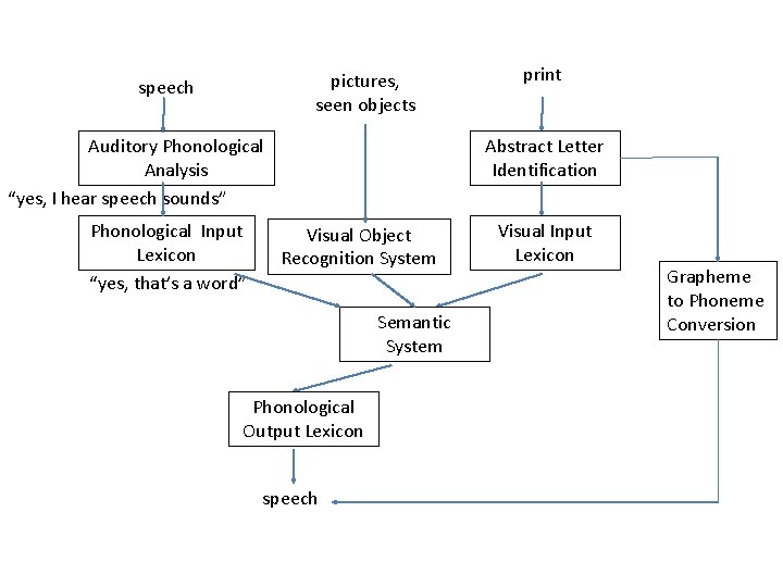 pictures, seen objects speech Auditory Phonological Analysis “yes, I hear speech sounds” Phonological Input