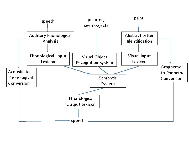 pictures, seen objects speech Auditory Phonological Analysis Phonological Input Lexicon print Abstract Letter Identification