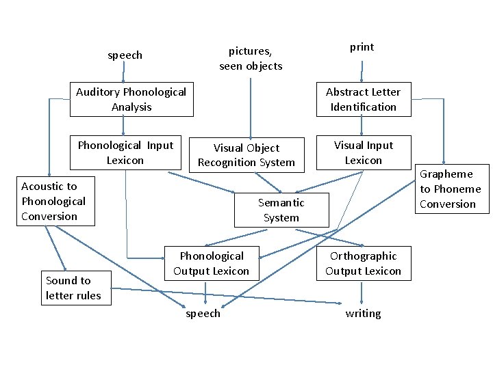 pictures, seen objects speech Auditory Phonological Analysis Phonological Input Lexicon Abstract Letter Identification Visual