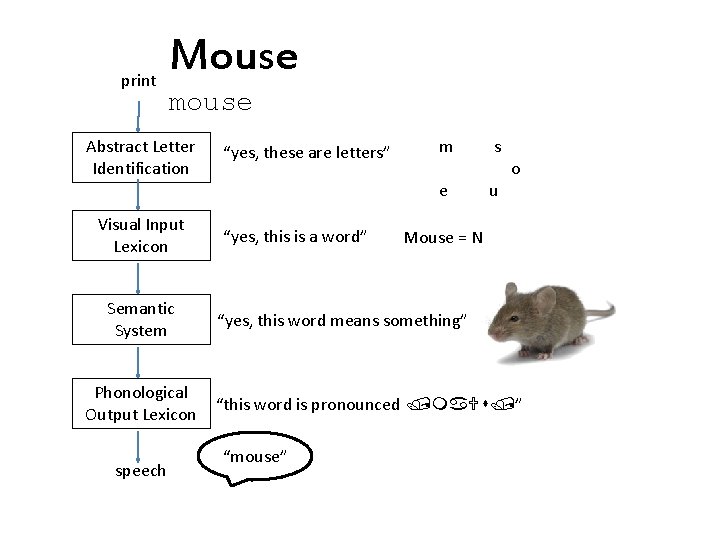 print Mouse mouse Abstract Letter Identification Visual Input Lexicon Semantic System Phonological Output Lexicon