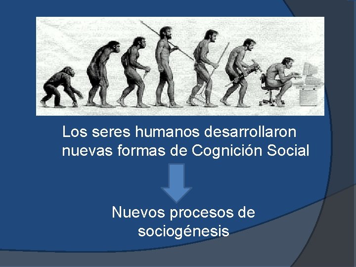 Los seres humanos desarrollaron nuevas formas de Cognición Social Nuevos procesos de sociogénesis 