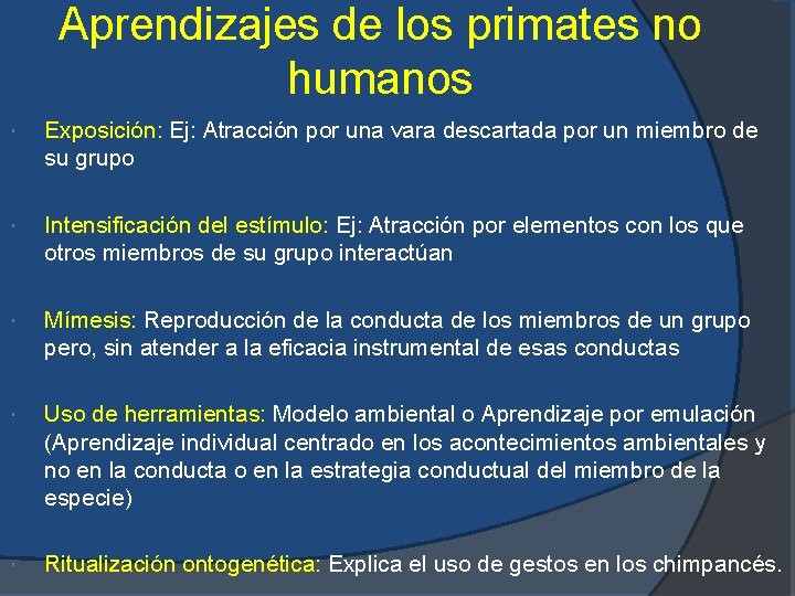 Aprendizajes de los primates no humanos Exposición: Ej: Atracción por una vara descartada por