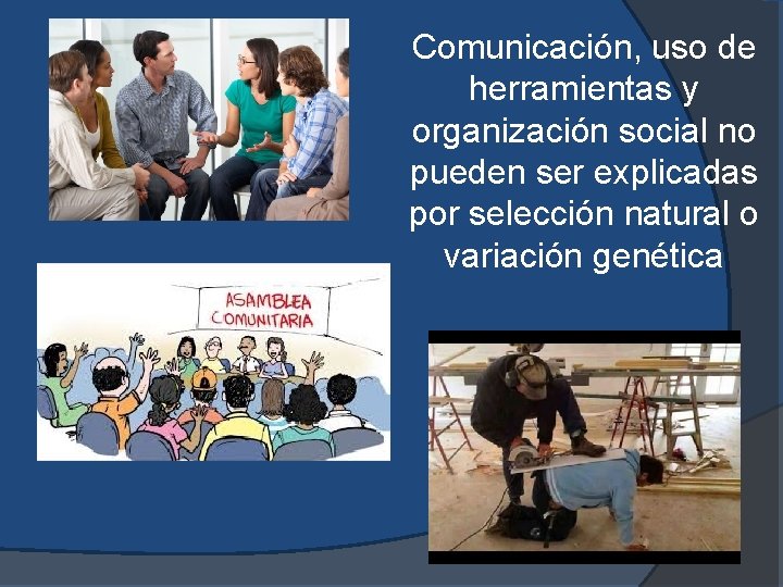 Comunicación, uso de herramientas y organización social no pueden ser explicadas por selección natural