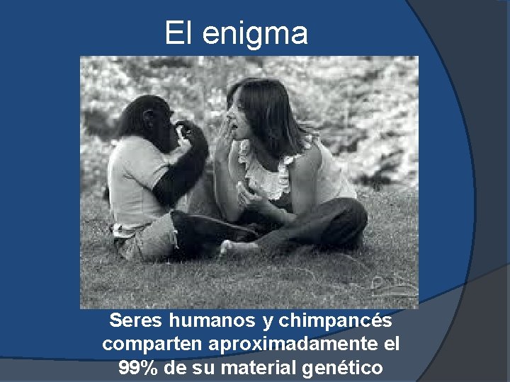El enigma Seres humanos y chimpancés comparten aproximadamente el 99% de su material genético