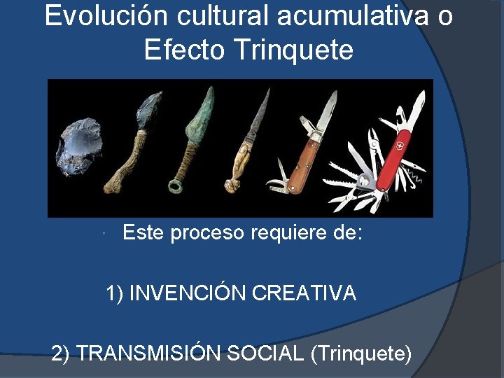 Evolución cultural acumulativa o Efecto Trinquete Este proceso requiere de: 1) INVENCIÓN CREATIVA 2)