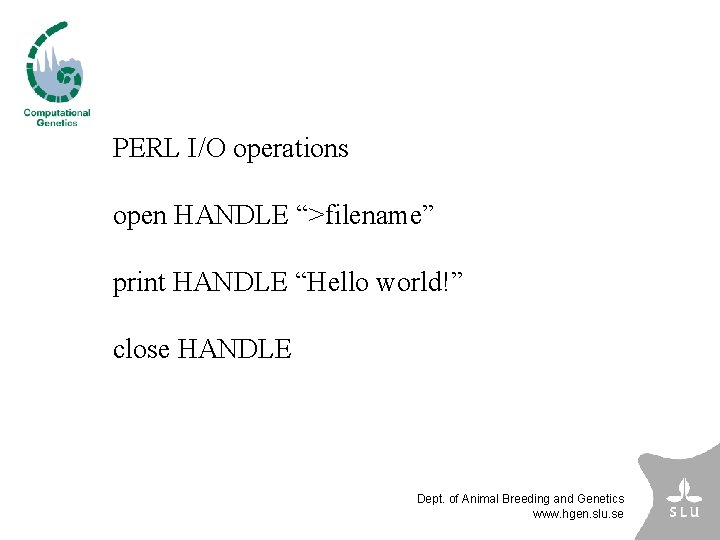 PERL I/O operations open HANDLE “>filename” print HANDLE “Hello world!” close HANDLE Dept. of