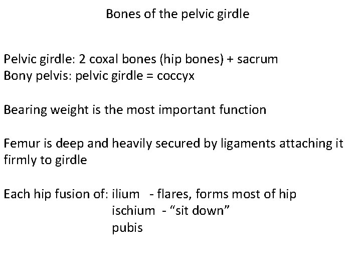 Bones of the pelvic girdle Pelvic girdle: 2 coxal bones (hip bones) + sacrum