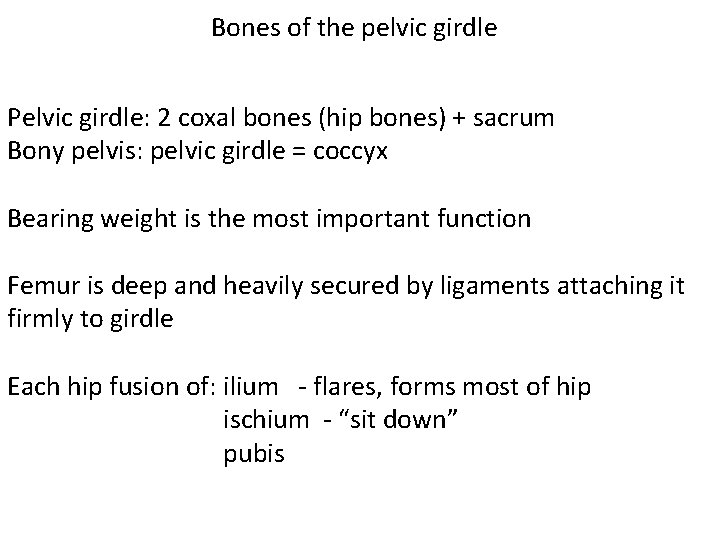 Bones of the pelvic girdle Pelvic girdle: 2 coxal bones (hip bones) + sacrum Bones of the pelvic girdle Pelvic girdle: 2 coxal bones (hip bones) + sacrum