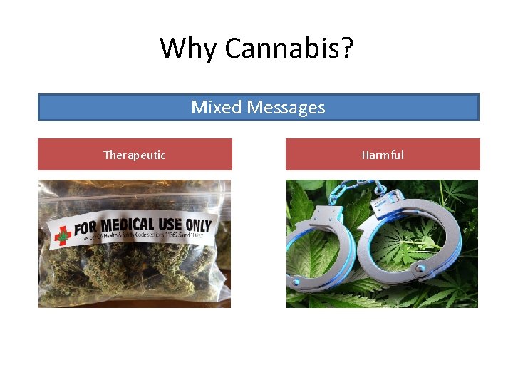 Why Cannabis? Mixed Messages Therapeutic Harmful 
