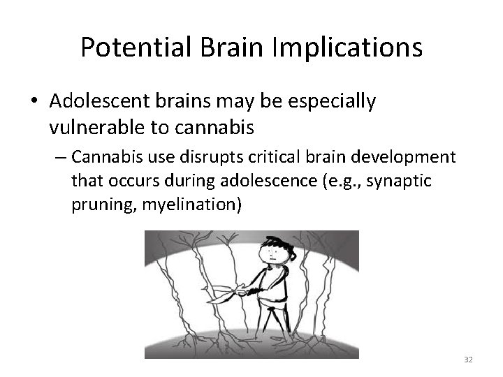 Potential Brain Implications • Adolescent brains may be especially vulnerable to cannabis – Cannabis