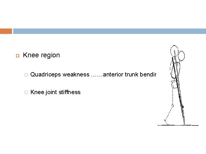  Knee region � Quadriceps weakness ……anterior trunk bending � Knee joint stiffness 