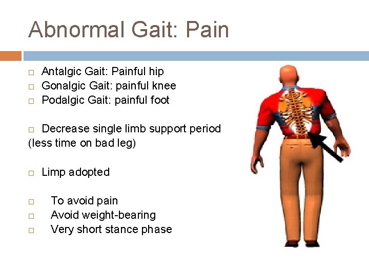Abnormal Gait: Pain Antalgic Gait: Painful hip Gonalgic Gait: painful knee Podalgic Gait: painful