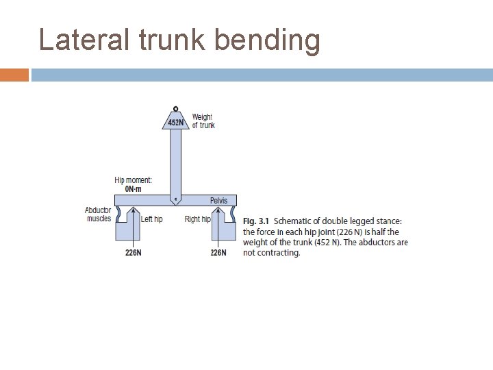 Lateral trunk bending Lateral trunk bending