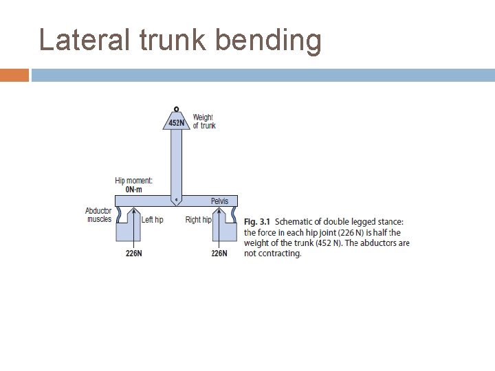 Lateral trunk bending 