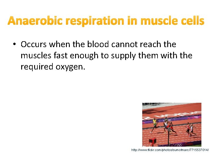 Anaerobic respiration in muscle cells • Occurs when the blood cannot reach the muscles